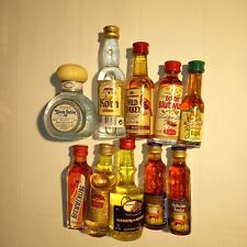 10 x Miniaturflaschen