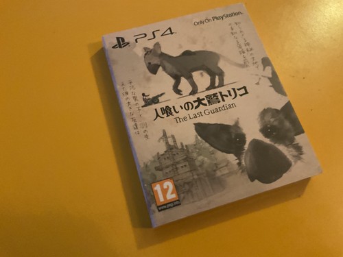 The last guardian day - last, one