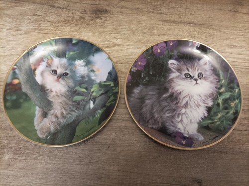 Katzen sammelteller von - katzen,