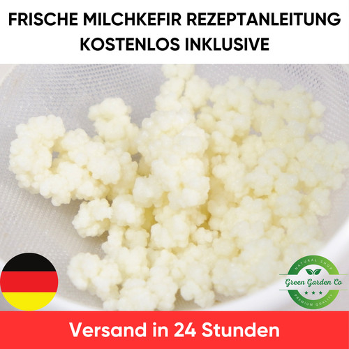 Milchkefir körner - milchkefir,