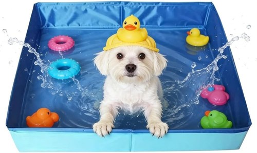 Hundepool pvc 50x50x10cm - pvc,