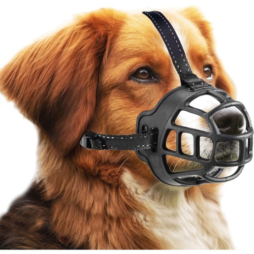 Hund maulkorb größe - hund,