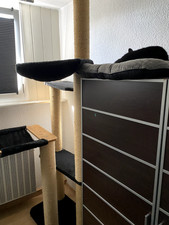 Kratzbaum Deckenhoch von Pussicat