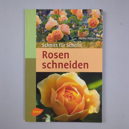 Rosen schneiden schnitt - rosen, für