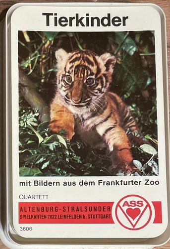 Quartett tierkinder ass - tierkinder-,