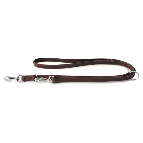 Das lederband hunde führleine - das,