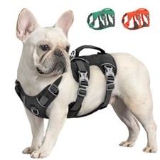 Hundegeschirr gepolsterte - hundegeschirr,