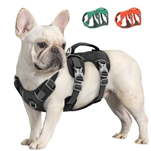 Hundegeschirr gepolsterte - hundegeschirr,