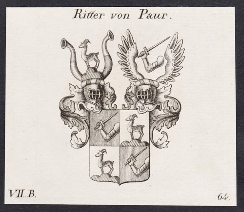Paur ritter wappen coat - ritter, of