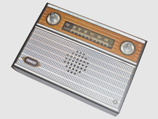 ✅ Elektronik UKW Radio