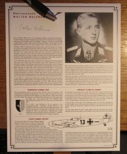 Luftwaffe fighter ace walter - fighter,