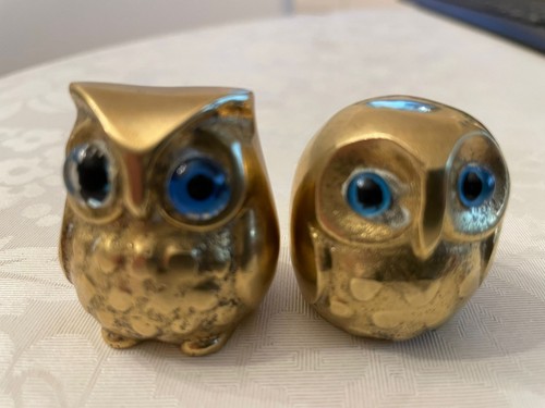 Eulen ehepaar mit blauen - mit, augen