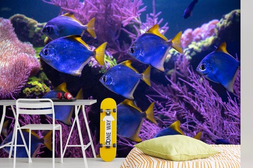 Blau lila fisch koralle - fisch,