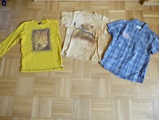 3 Teile Afrika Gepard Löwe