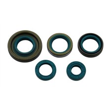 Motor Simmerringsatz 5-tlg