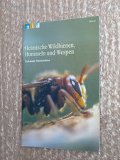 Heimische Wildbienen, Hummeln