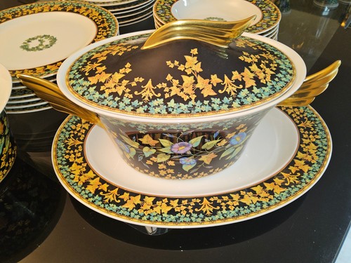 Rosenthal meets versace - rosenthal,