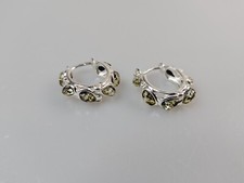 Grun Bernstein Ohrringe