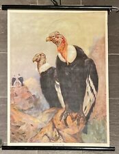 Schulwandkarte Rollkarte