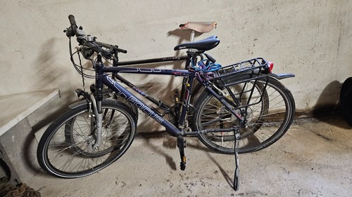 Focus herrenfahrrad 24 - 28",