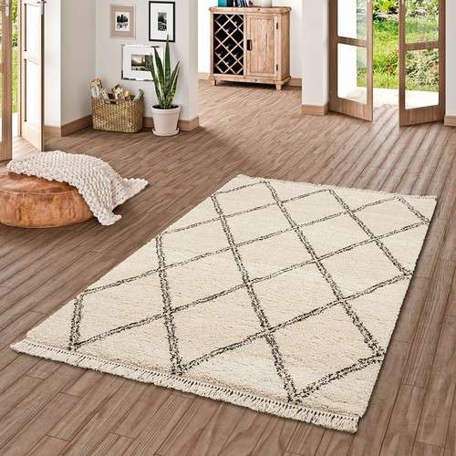 Hochflor langflor shaggy - langflor,