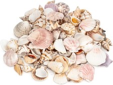 Muschelmix lagre deko - kg,