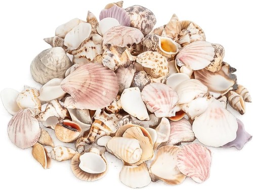 Muschelmix lagre deko - muschelmix,
