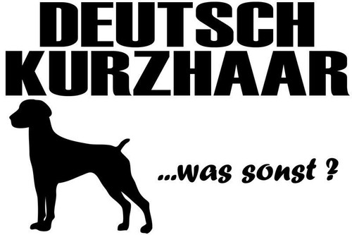 Aufkleber deutsch kurzhaar - aufkleber,