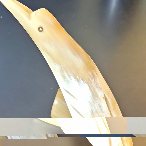 Vogel aus rinder horn - aus,