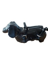 Atrium  witzige Dackel