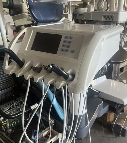 Sirona teneo - sirona, (sinius)