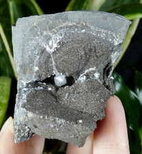 Quarz Diamant Herkimer in Septaria Rémuzat 7x6cm Frankreich Mineral Sammlung