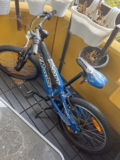 Junge zoll moutenbike sport - 24,