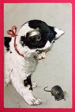 Prägedruck AK KATZE 1903