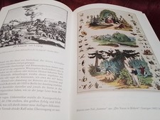 DAS BILDERBUCH GESCHICHTE UND