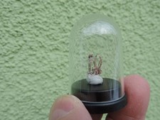 gediegen Silber aus Schneeberg