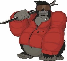 Ski-Fahrer Aufkleber Sticker