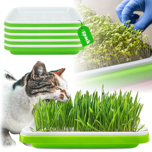 Stück microgreens sprossen - stück,