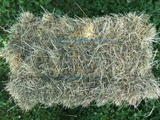 Heuballen Heu 18kg 1Schnitt Futter Pferde Schafe Kaninchen Deko