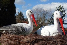 Storchennest 80 cm mit 2