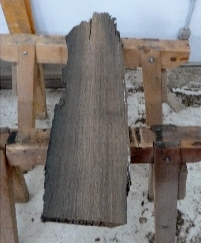 Mooreiche moorholz - mooreiche,