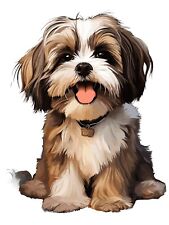 Shih Tzu Auto Aufkleber 9X9 cm