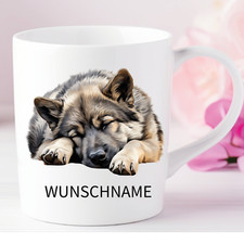 Norwegischer Elchhund-