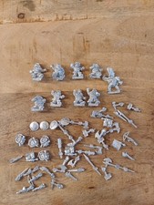 Warhammer Mortheim Dwarf Treasure Hunter