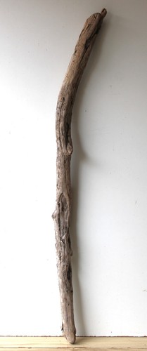 Treibholz schwemmholz - treibholz,