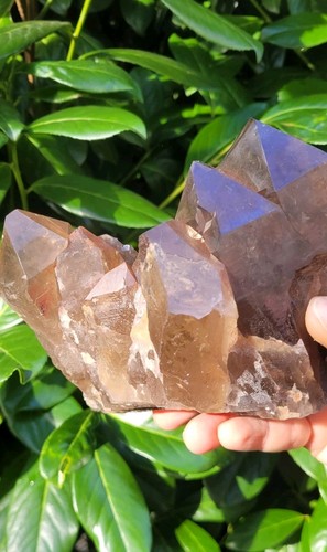 Rauchquarz stufe - rauchquarz,