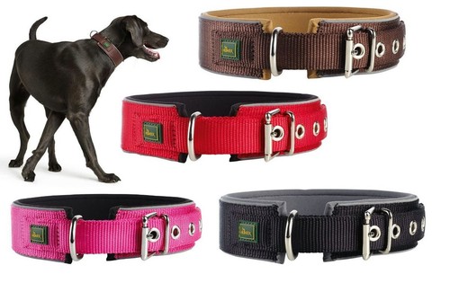 Hunter halsband neopren - hunter,