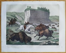 Bison Jagd - Buch der Welt