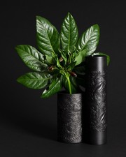 Rosenthal Vase Duo Bjørn