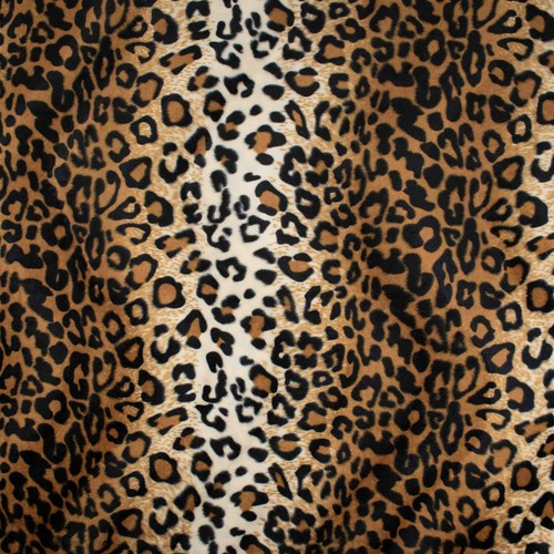Fellimitat leopard leo - leo, fell